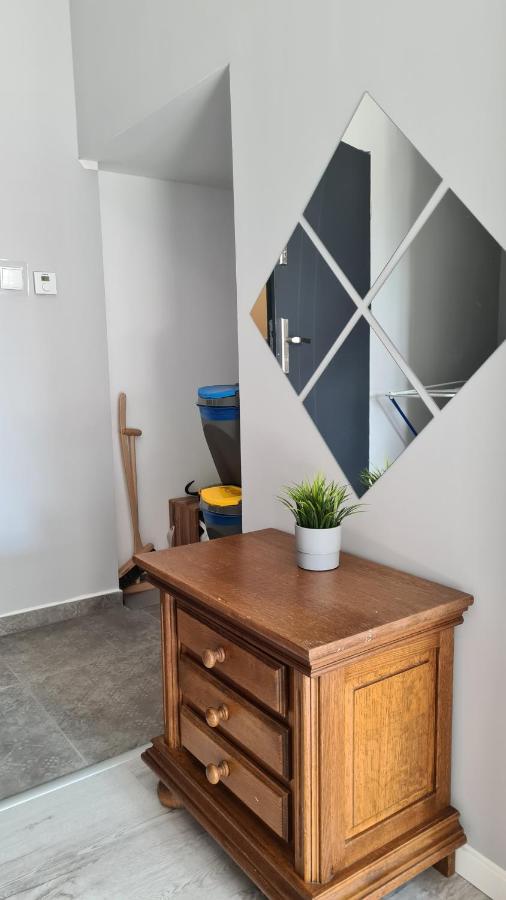 Urocze Apartamenty Na Wsi Goledzinow Εξωτερικό φωτογραφία