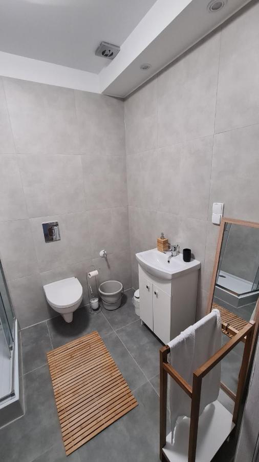 Urocze Apartamenty Na Wsi Goledzinow Εξωτερικό φωτογραφία
